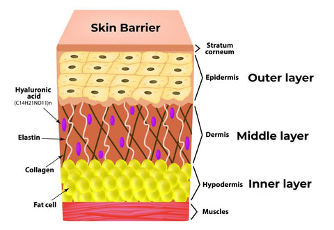🍼 Why Your Baby’s Skin Barrier Matters (And How to Keep It Healthy)