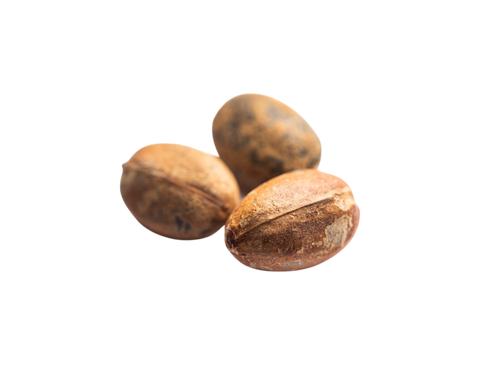 CASTOR SEED OIL*